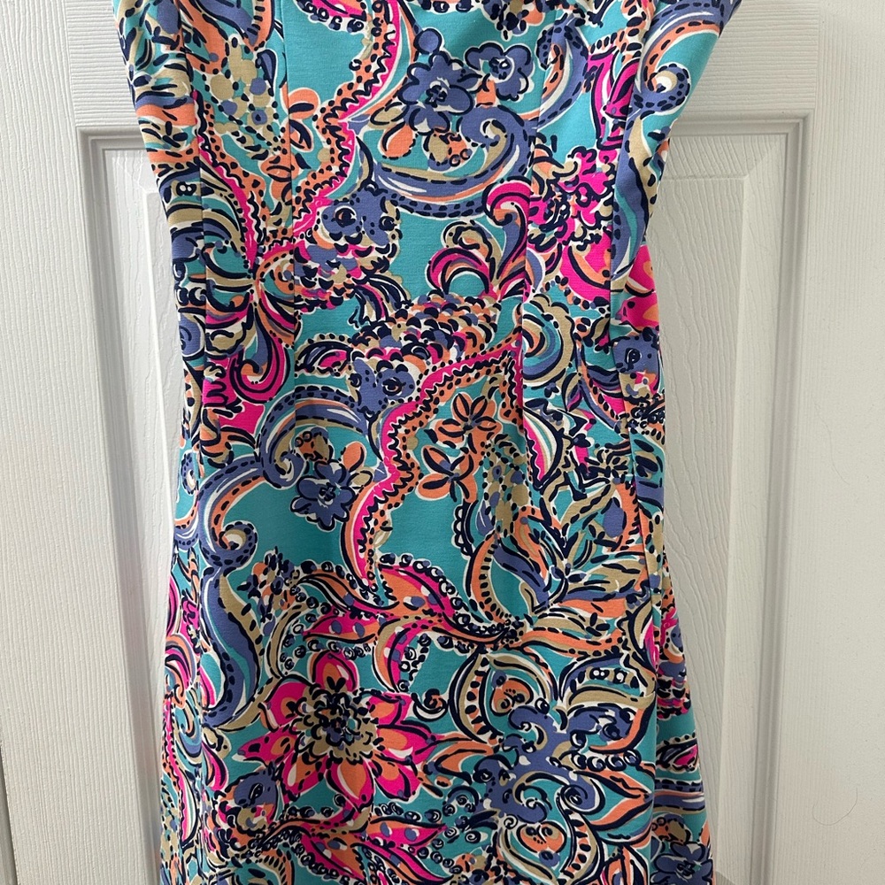 Lilly Pulitzer Multicolor Mesh Dress